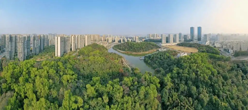 “三進三同”攜手共進，江門站助力區縣監測見成效